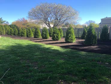 Photos by Ed Francos Simply Green, LLC #1
