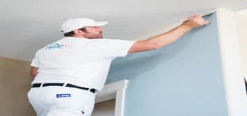 Painter1 of Raleigh