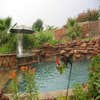 Vega Pools & Outdoor Living logo