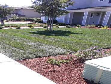 Photos by Zefs Landscaping #8