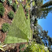 Photos by Eco Landworks #2