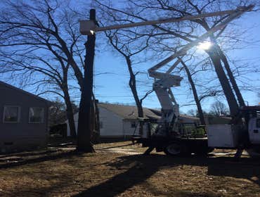 Photo(s) from Treeworkz, LLC
