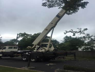 Photo(s) from Treeworkz, LLC