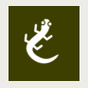 the Salamander Company logo