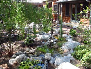 Photos from Reid Freeman Landscapes