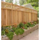 Photos by California Crews Painting & Fencing #3