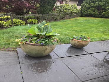 Photos by Brightday Landscaping LLC #1