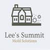 Mold Removal Lees Summit Solutions logo