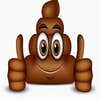 Poop Construction Services LLC logo