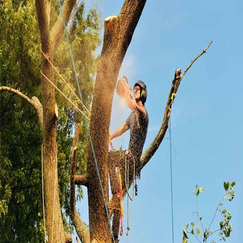 Brs Bowerman Removal Service