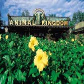 Theme Parks/Resorts