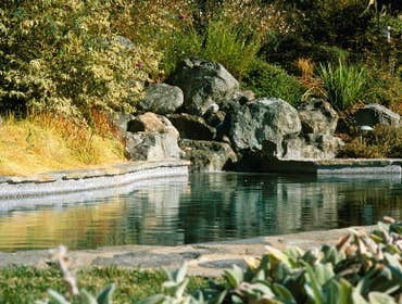 Photos by Confidence Landscaping Inc #1