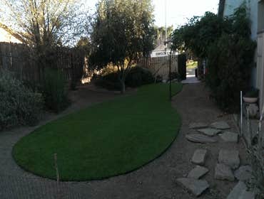 EASYTURF PEDiGREE
