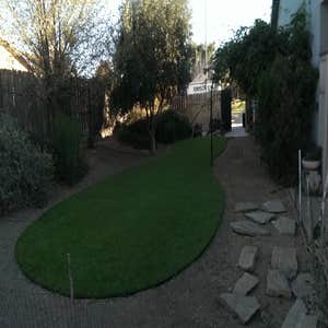 EASYTURF PEDiGREE
