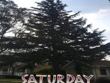 Photos by Sunnyview Landscaping #1