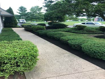 Photos by Ed Francos Simply Green, LLC #1