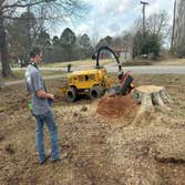 Photos by Stump Pros Forestry and Land #1