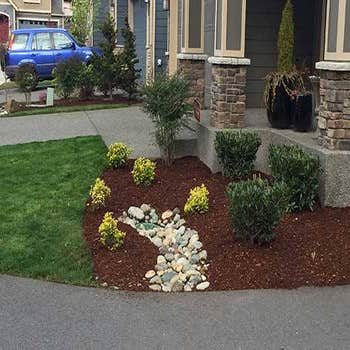 Photos from Newport Landscape Services LLC