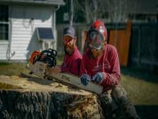 Photos by Arborsafe Tree Service #1