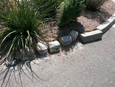 Photos from Arizona Sunscape Lawn Maintenance Llc