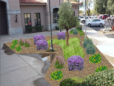 Photos by Complete Landscaping Inc #1