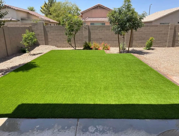 Photos by Tampa Turf Solutions #1