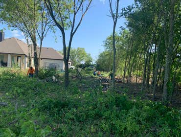 Photos by K-perez Tree Services #1
