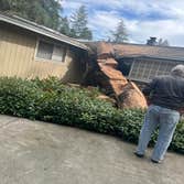 Photos by Junior's Tree Services Inc #4