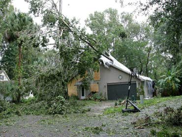 Tree Damage Repair Tree damage above entire garage roof. Rafter and roof replacement, new garage door installation, and driveway expansion