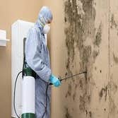 Photos by the Professional Touch #1 The Professional Touch provides expert mold remediation and mold removal services in Iowa Falls, IA. Our certified 