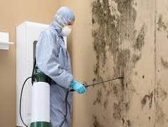 Photos by the Professional Touch #1 The Professional Touch provides expert mold remediation and mold removal services in Iowa Falls, IA. Our certified 