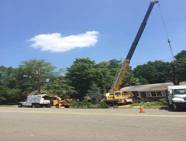 Photo(s) from Bonilla Tree Service Inc