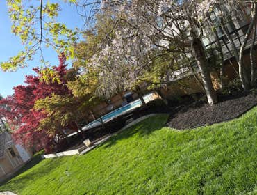 Photos by Beauty Meister Landscaping LLC #2