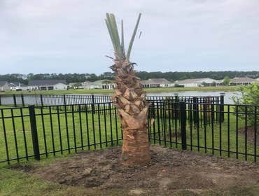 Photos by Garcia Landscaping & Lawncare LLC #1