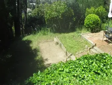 Landscapes