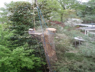 RTEC Treecare RTEC In Action