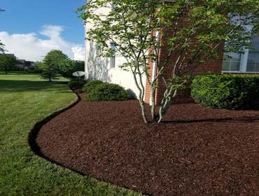 Photos by Jm Landscape and Tree Services #1