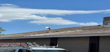 Outdoor Commercial Lighting Installation
