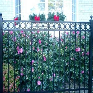 Ornamental