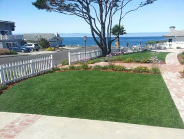 EASYTURF OLIVE LUSH
