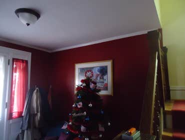 Project photos from Papa's Painting Inc.