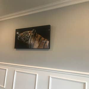 Photos by Jerry's Construction Services Inc #1