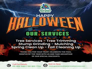 Photos by Guacamaya Tree Service & Lawncare Inc #13
