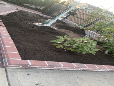 Photos by Mendez Landscaping Sprinklers #2