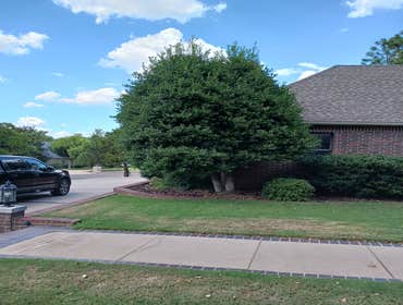 Photos by Ramos Landscaping LLC #30