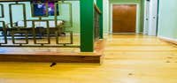 Photos from Accessibility by Design Inc. Louisiana