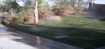 concrete & sod