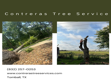 Photos by Contreras Tree Services #29