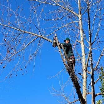 Midwest Tree Removal