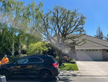 Photos by Navarro Tree Service Inc #1